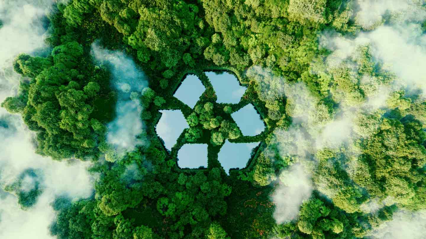Sustainability & Recycling